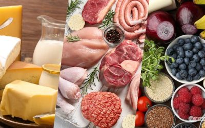 The Challenges and Solutions of Perishable Logistics for South Florida Businesses